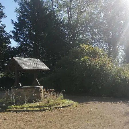 Au Regard Des Biches