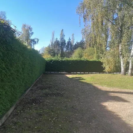 Au Regard Des Biches