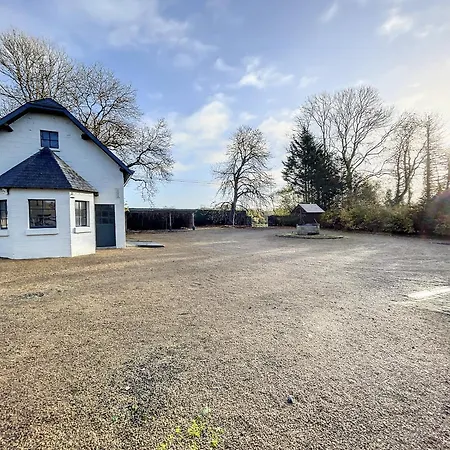 Au Regard Des Biches