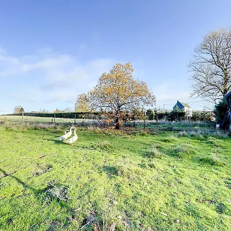 Au Regard Des Biches