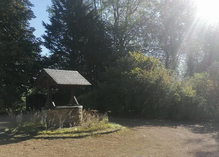 Au Regard Des Biches