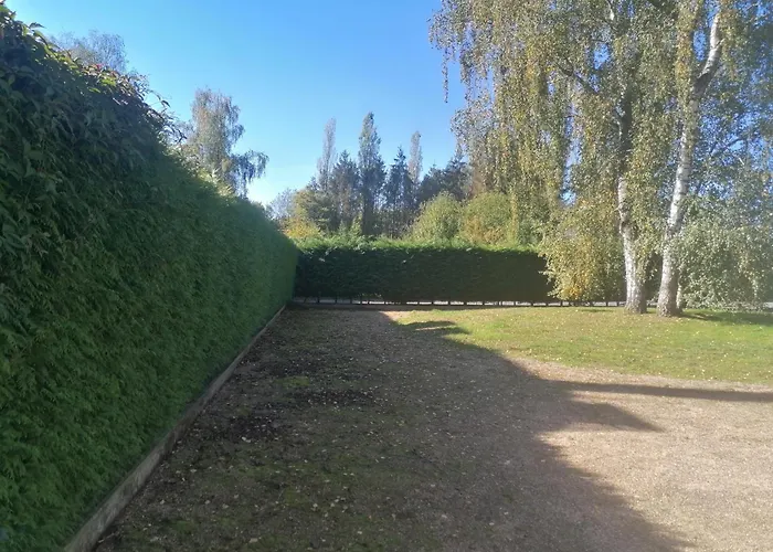 Au Regard Des Biches