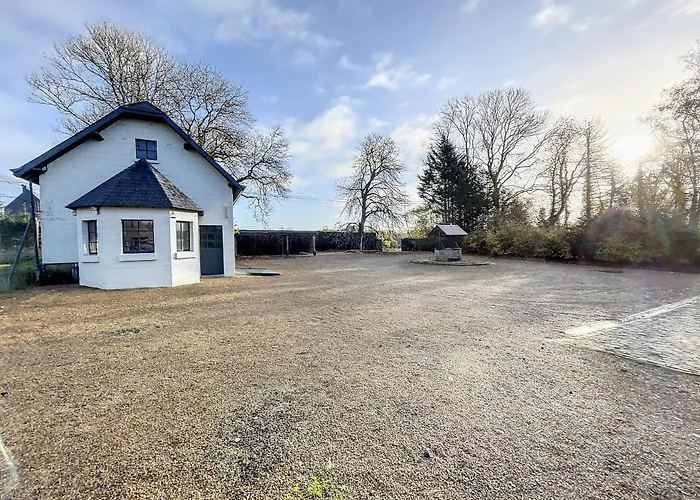 Au Regard Des Biches