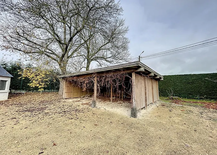 Au Regard Des Biches * Sovet