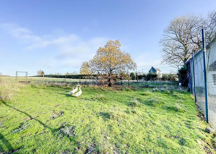 Au Regard Des Biches